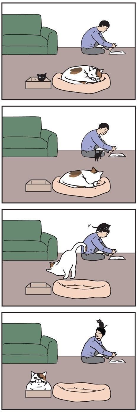 男の猫道 30話目