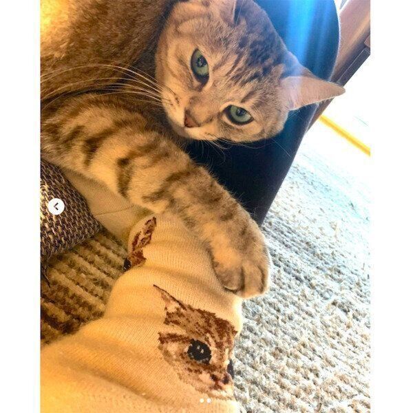 PAUL&JOEの冬アイテム