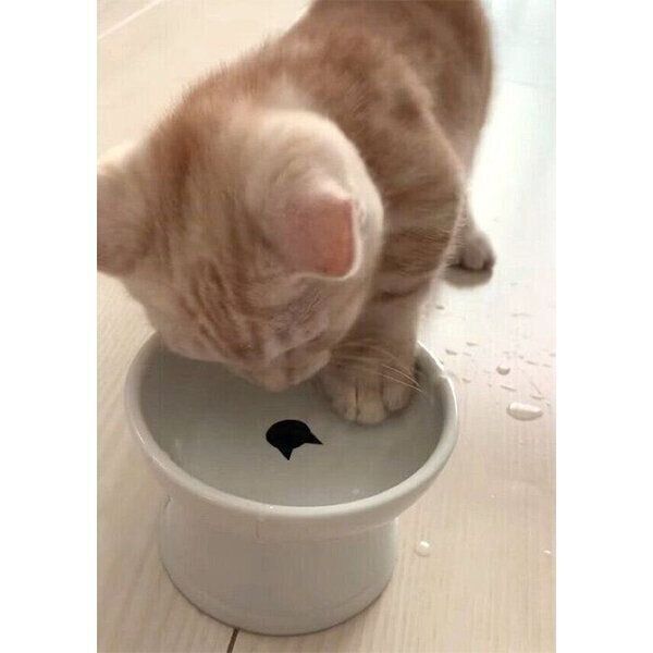 水を飲むきなこくん