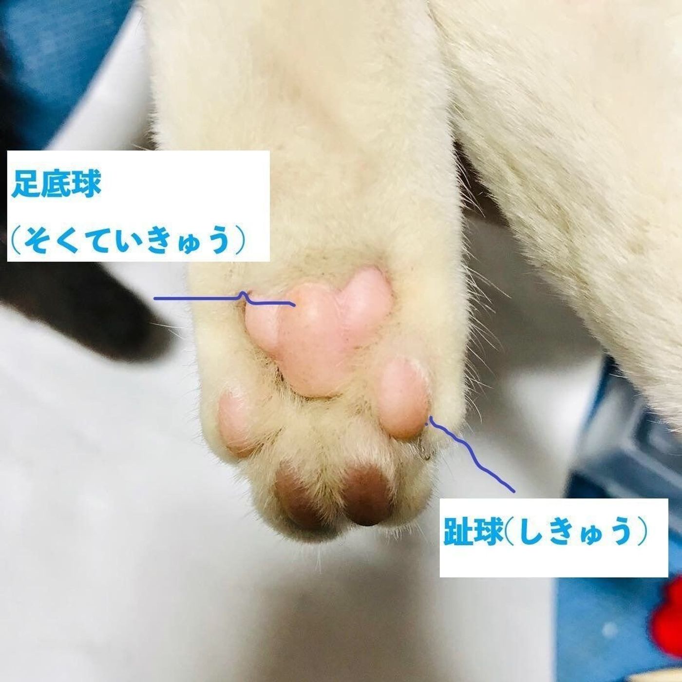 Tl8bvebyt1x Zm Tl8bvebyt1x Zm