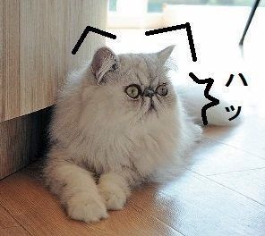 撮影／尾﨑たまき