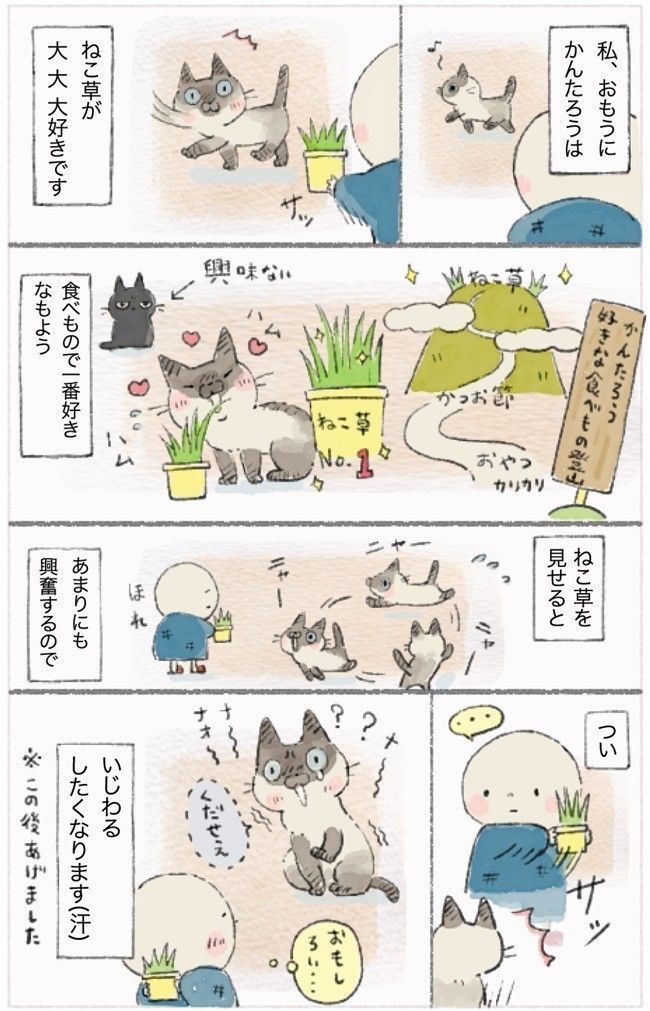 『ねこ連れ草』13話め