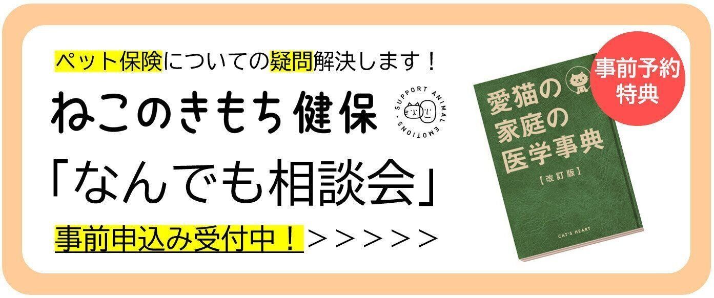 保険なんでも相談会
