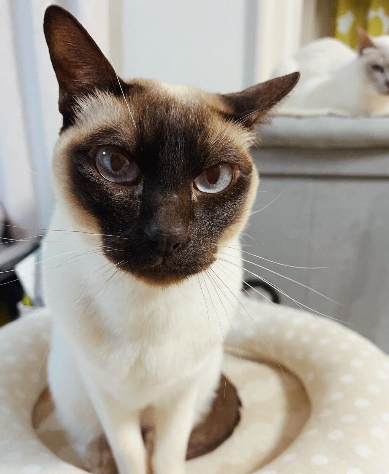 見つめるたきちゃん