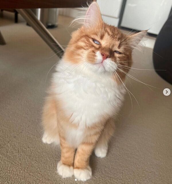 白目をむく煉獄くん