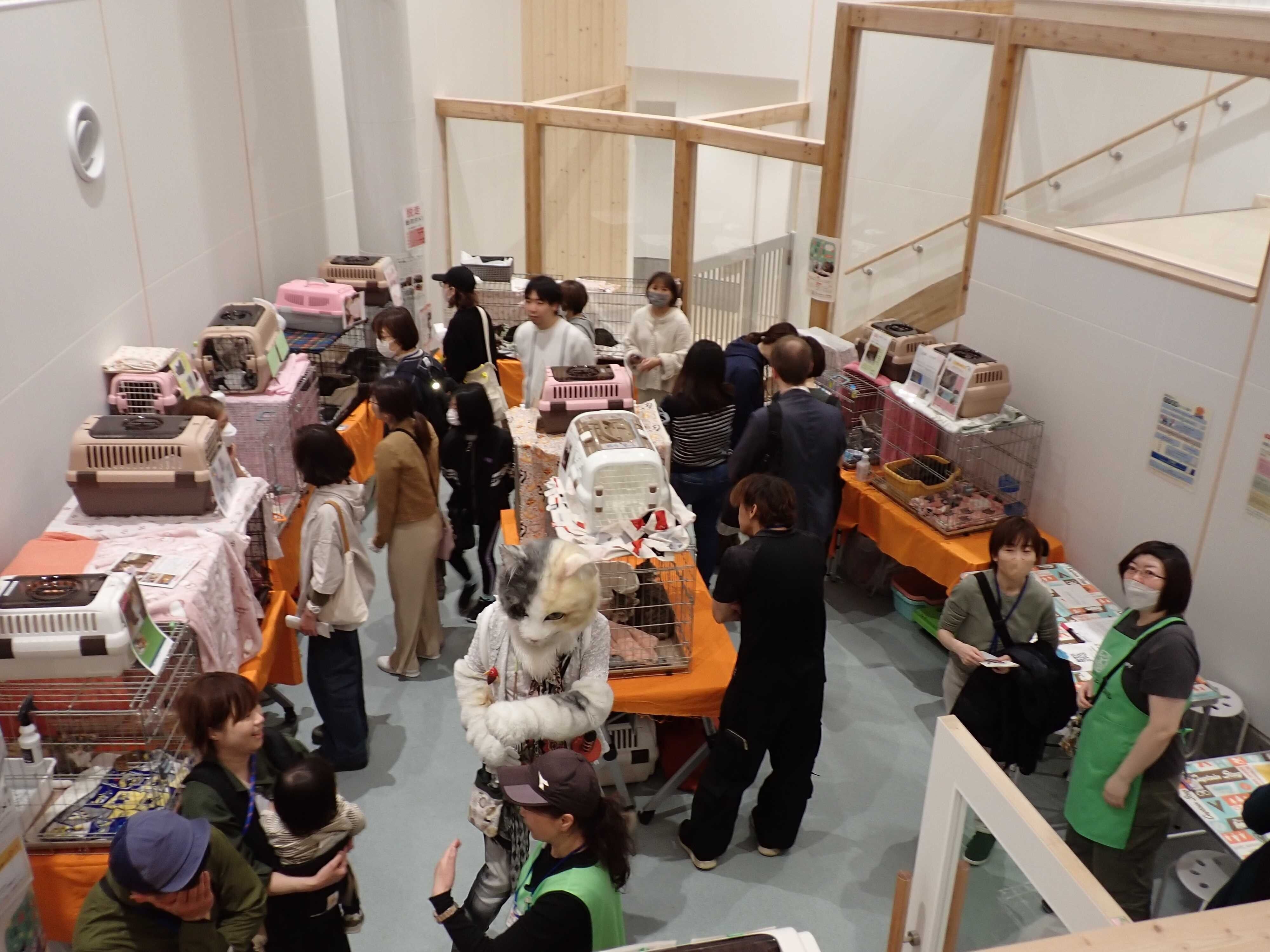 写真提供／札幌市動物愛護管理センター「あいまる さっぽろ」