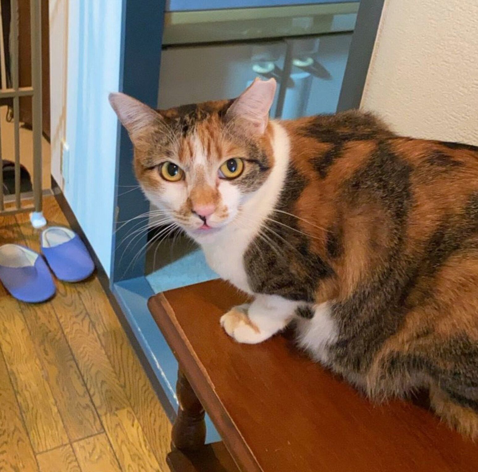 「おしりトントン」待ちのみちょちゃん