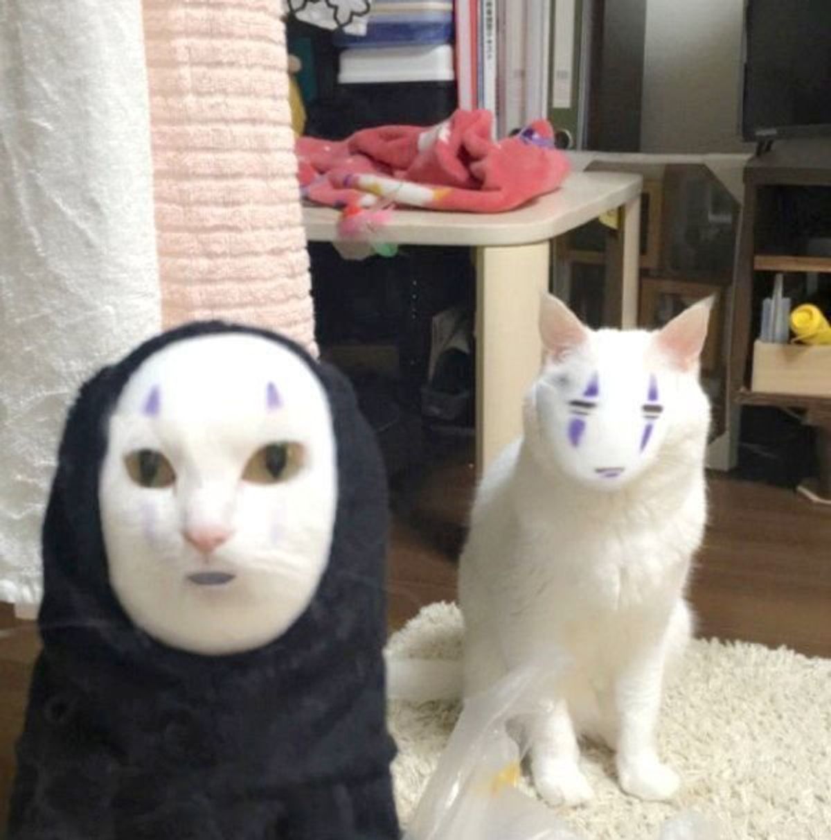 スマホアプリで アレ と顔交換したニャンコ その衝撃の姿が話題 ねこのきもちweb Magazine スマホアプリで アレ と顔交換したニャンコ その衝撃の姿が話題 ねこのきもちweb Magazine