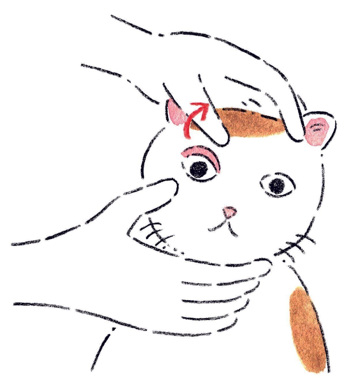 イラスト／みやしたゆみ