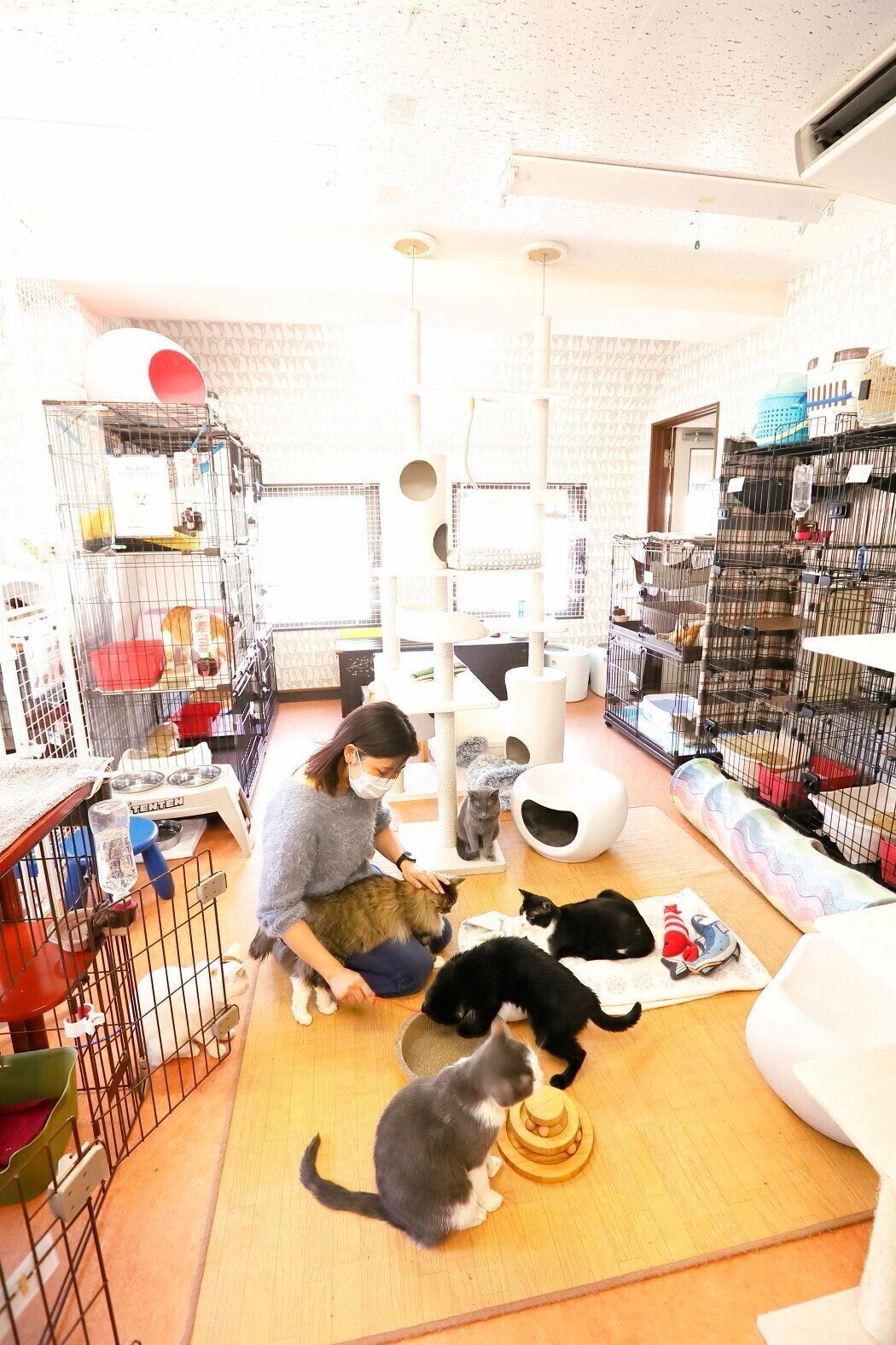 撮影／後藤さくら