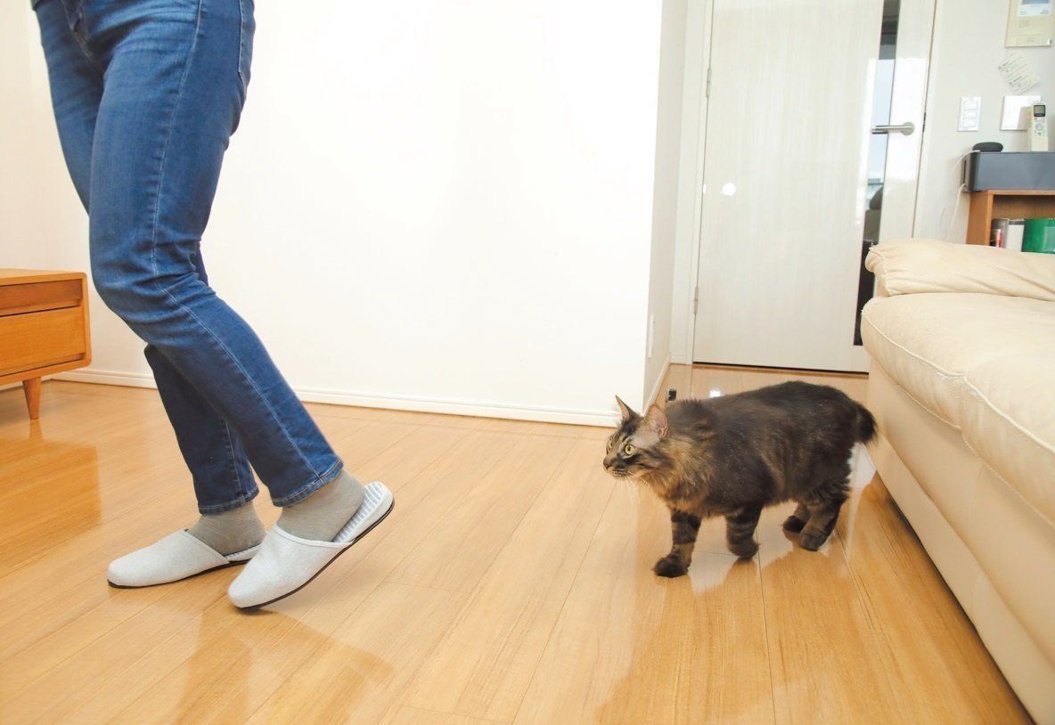 撮影／尾﨑たまき