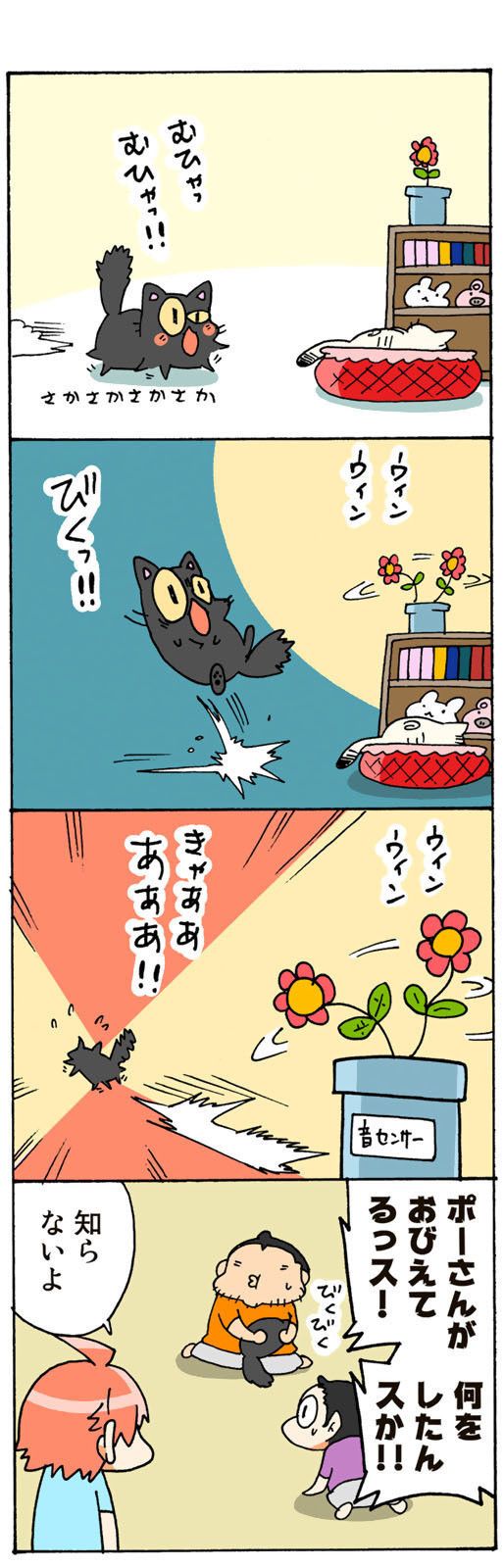 ©片倉真二/講談社