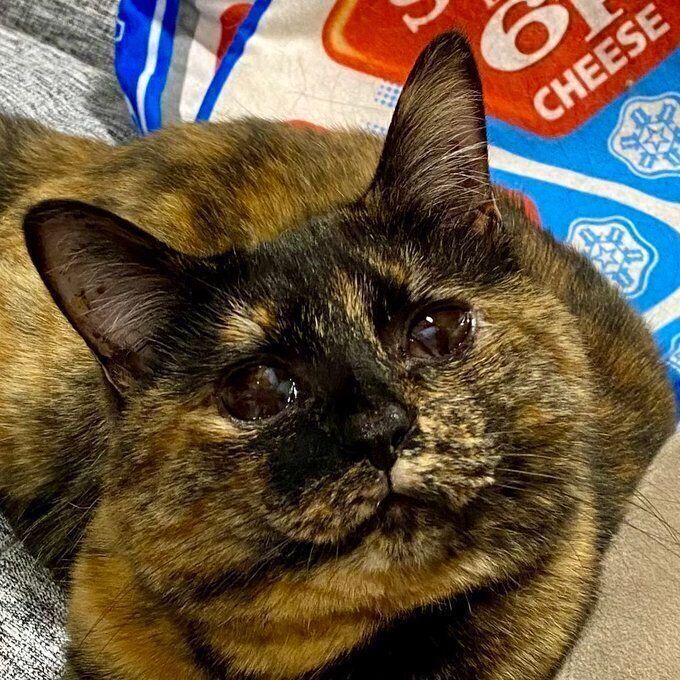 純粋な瞳で見上げる小梅ちゃん