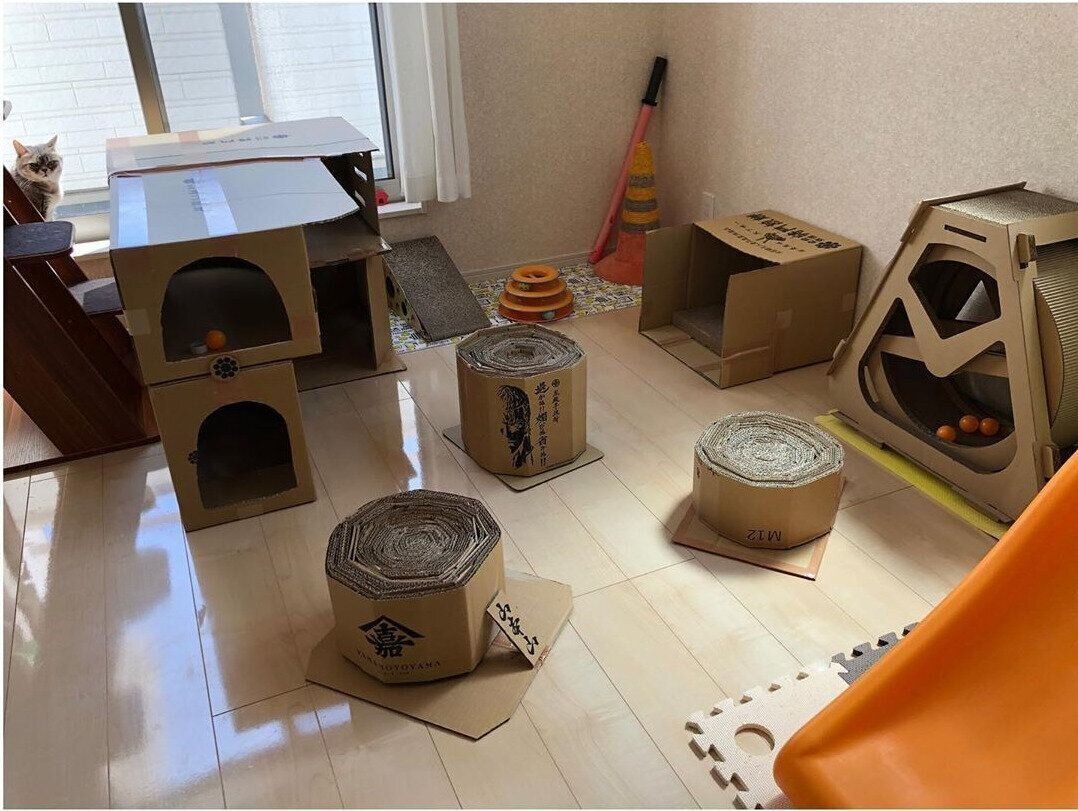 猫専用の遊び場