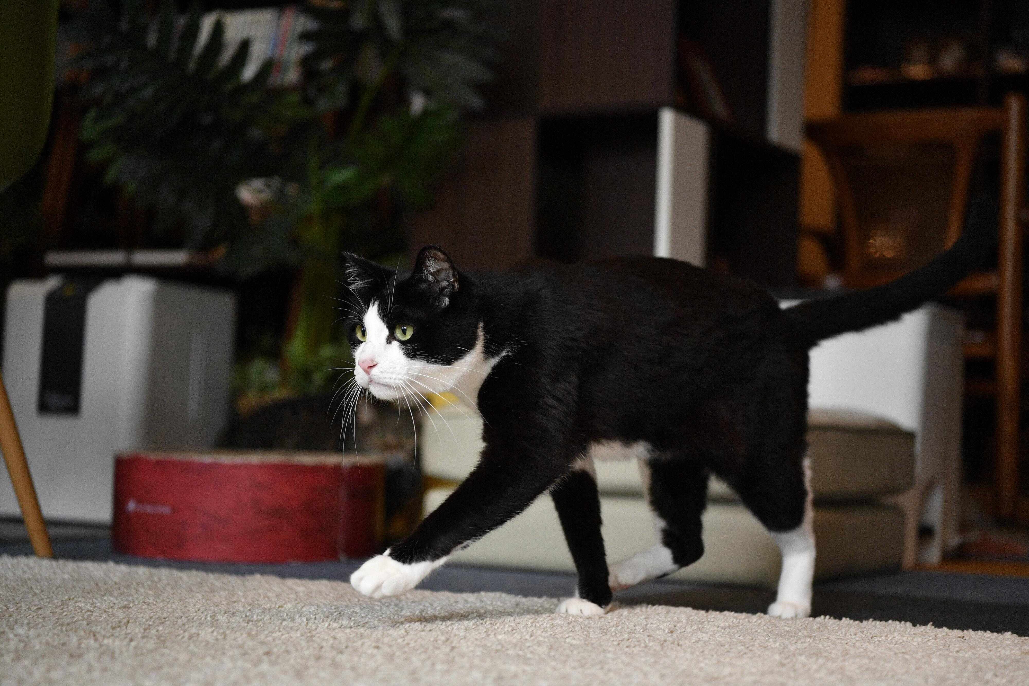 撮影／Akimasa Harada