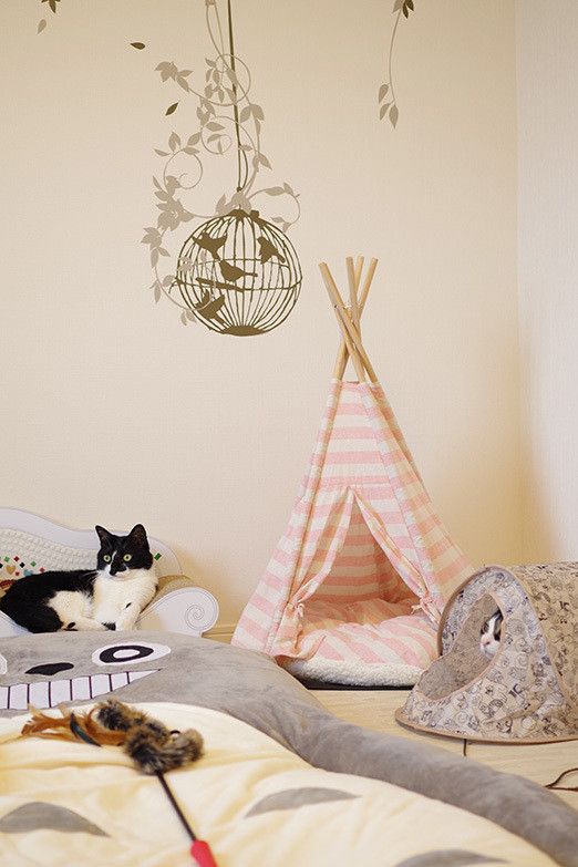 猫マスター本気の猫部屋紹介