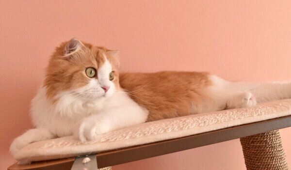 くつろぐちのさん