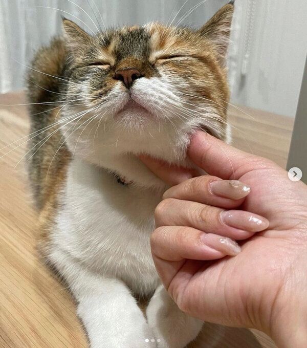 うっとりするむぎめちゃん