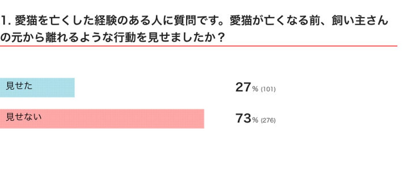 飼い主の前から姿を消す のは本当 約3割の飼い主さんも体験 猫が死ぬ前に見せる行動の変化とは ねこのきもちweb Magazine 飼い主の前から姿を消す のは本当 約3割の飼い主さんも体験 猫が死ぬ前に見せる行動の変化とは ねこのきもちweb Magazine