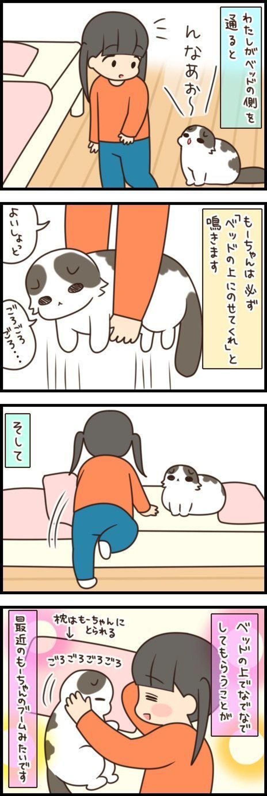 んなあお 遠慮がち猫が行きついた至福の甘え方 もふもふスコたん Vol 113 ねこのきもちweb Magazine んなあお 遠慮がち猫が行きついた至福の甘え方 もふもふスコたん Vol 113 ねこのきもちweb Magazine