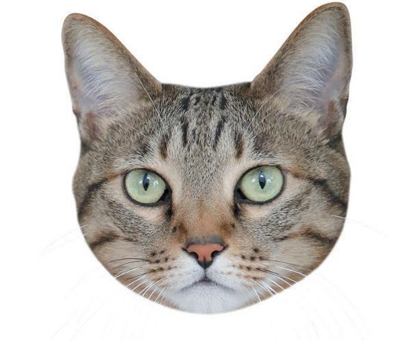 猫からのYESサインとは