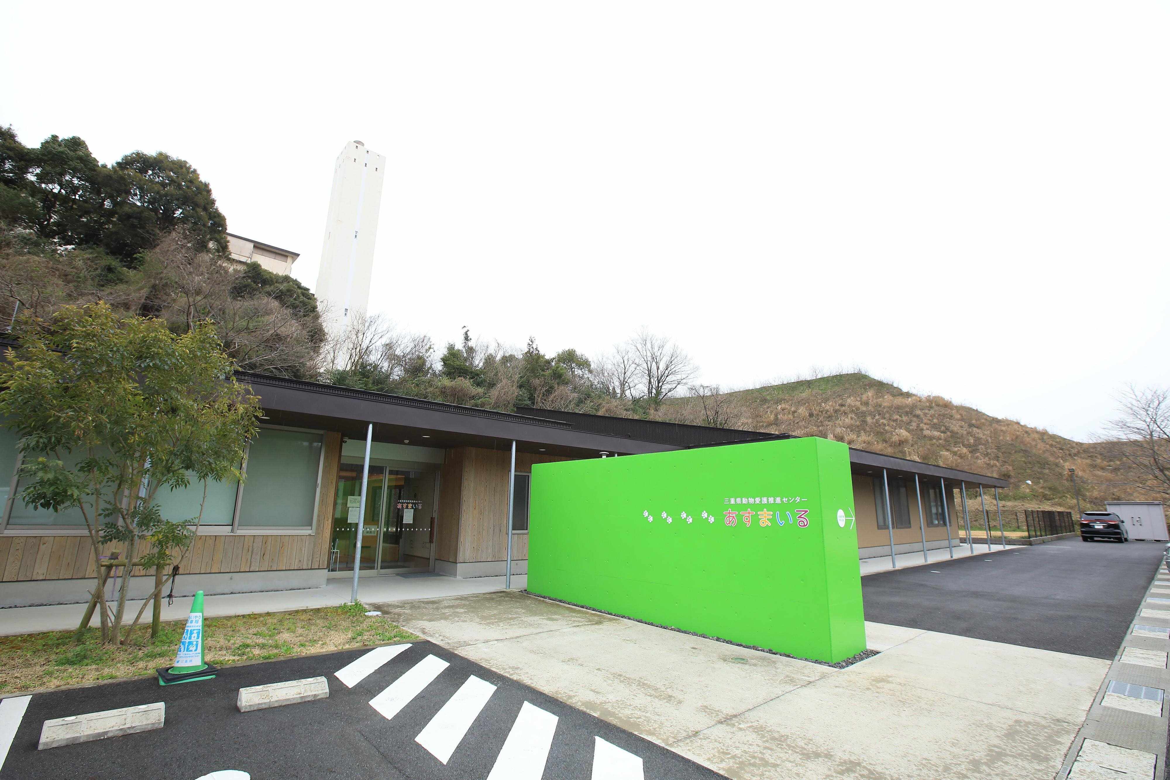 撮影／尾﨑たまき