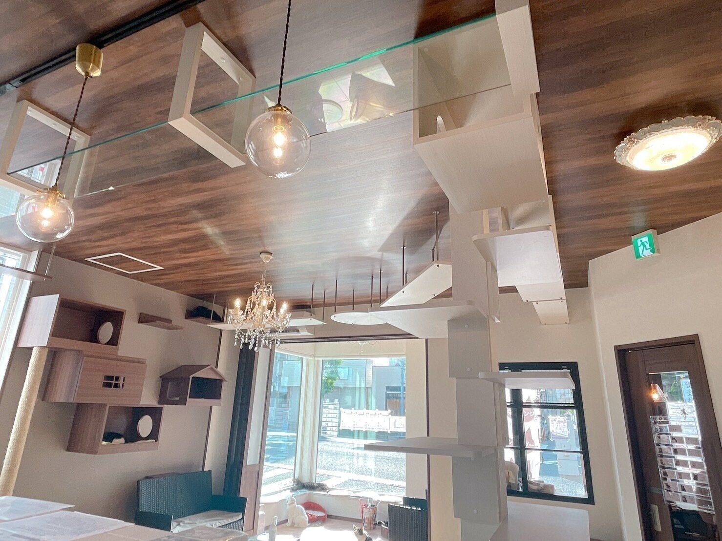 天井や壁に広がる回廊や猫マンション、大きな窓が特徴