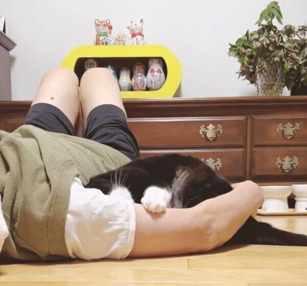 お父さんのことが大好きな猫の「甘えっぷり」が最高! 見た目の渋さと 一番の キキ様♡ その他