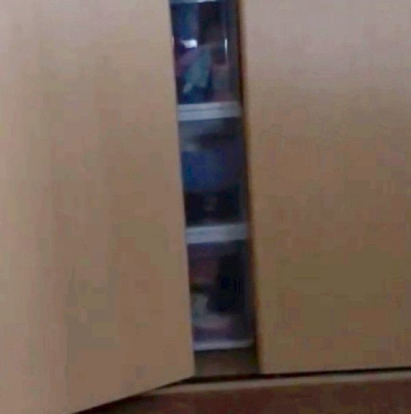 クローゼットに隠れるミヌエット