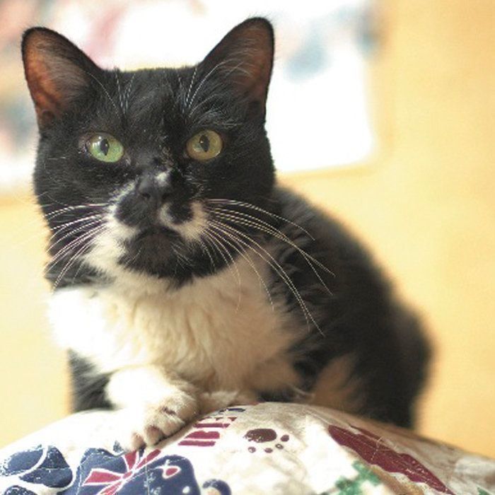 撮影／石原さくら