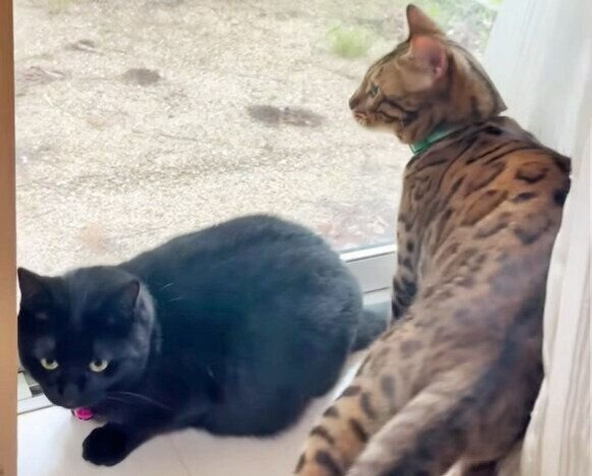 Ek7pcnzoo9ahvm Ek7pcnzoo9ahvm