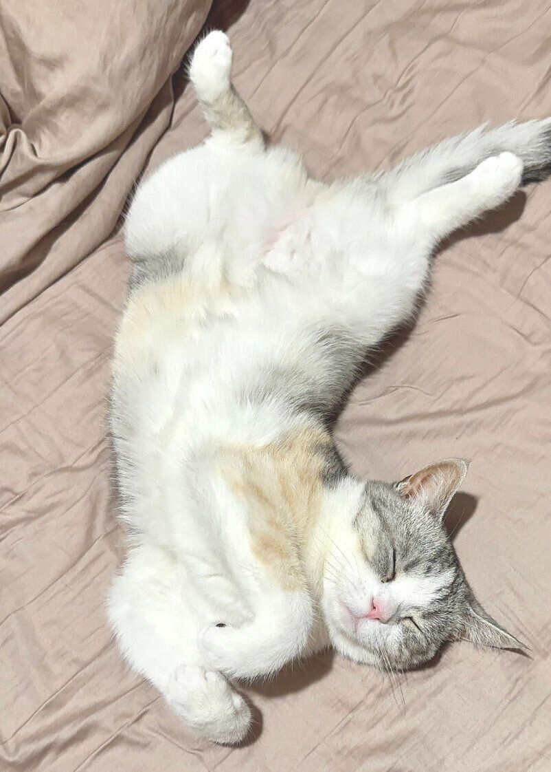 ベッドで眠る彩春ちゃん