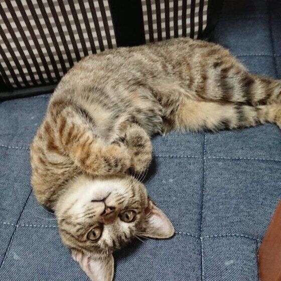 甘えているそぽちゃん