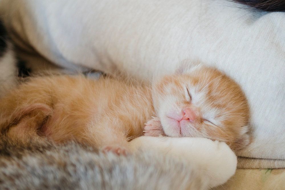 撮影／中川文作