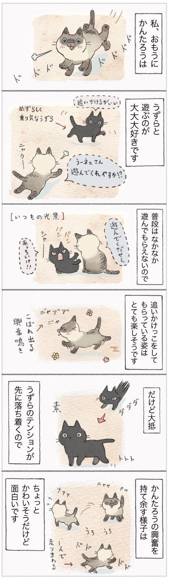 『ねこ連れ草』59話め