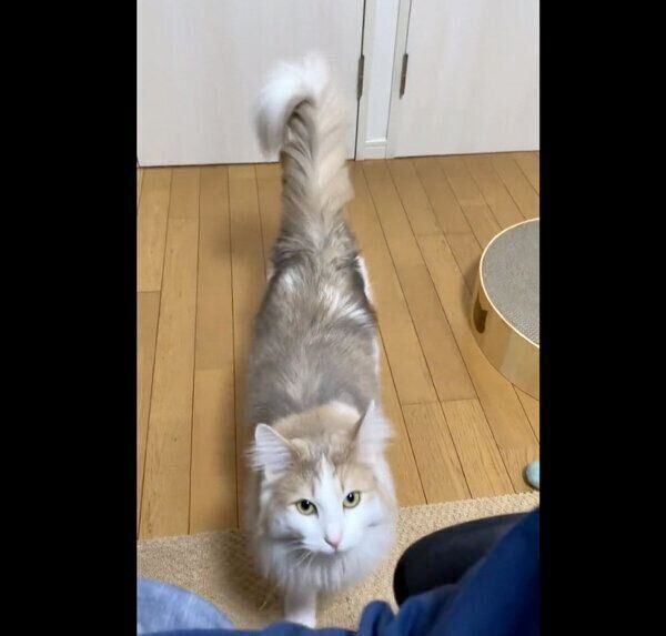 近づくエドくん