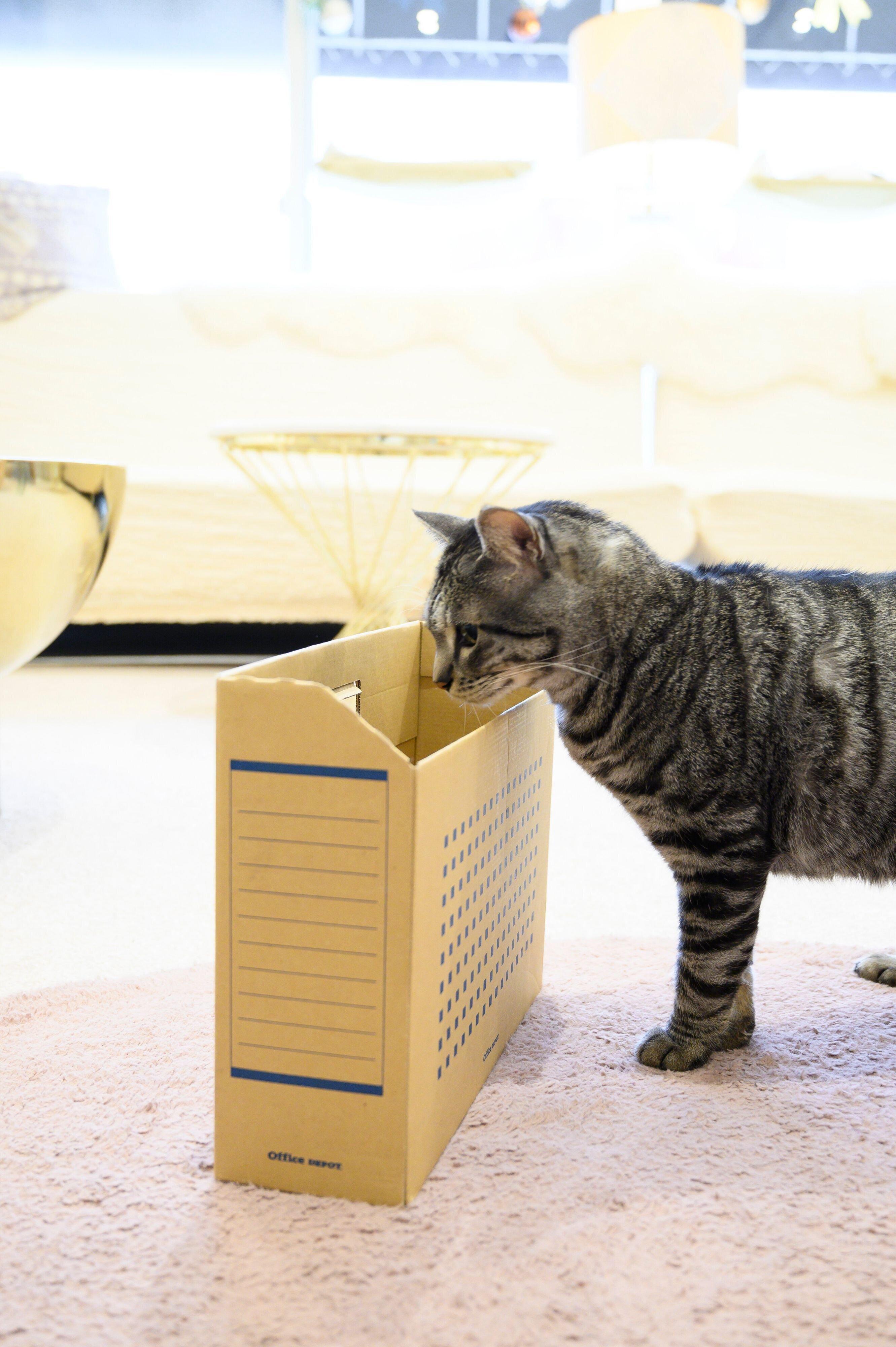 撮影／中川文作