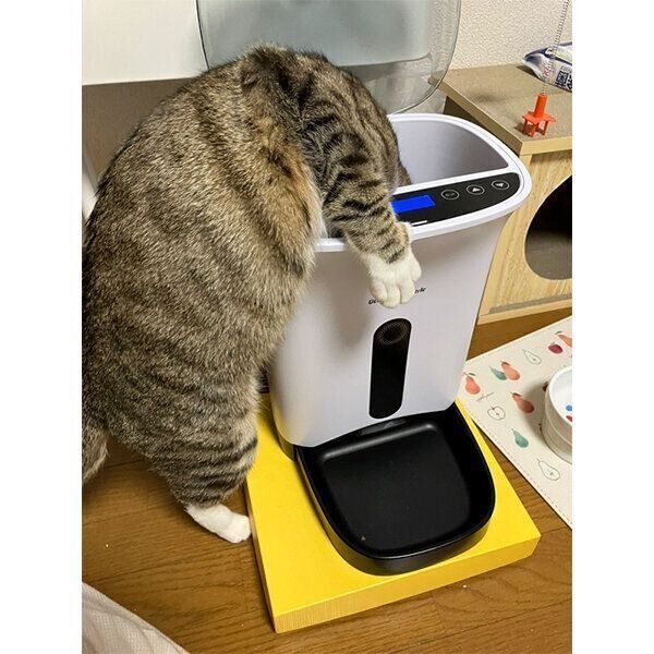 自動給餌器の中を覗くもん吉くん