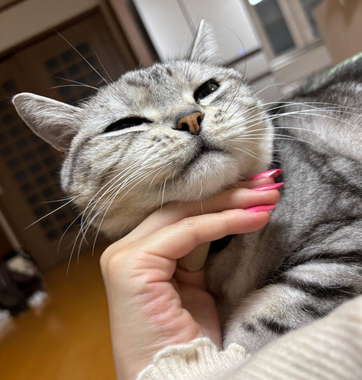 とろけるサスケくん