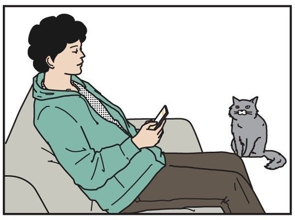 連載漫画　男の猫道　タイトル