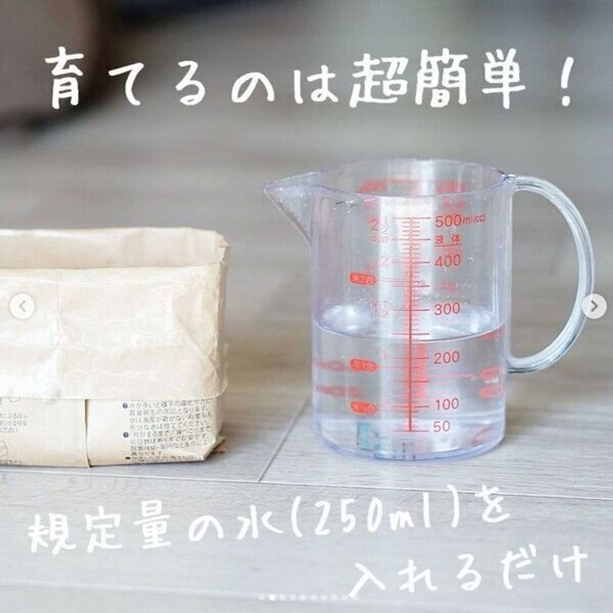 無印良品の土を使わない 猫草栽培セット ってどうなの 実際に使った猫飼いさんの感想を聞いた ねこのきもちweb Magazine 無印良品の土を使わない 猫草栽培セット ってどうなの 実際に使った猫飼いさんの感想を聞いた ねこのきもちweb Magazine
