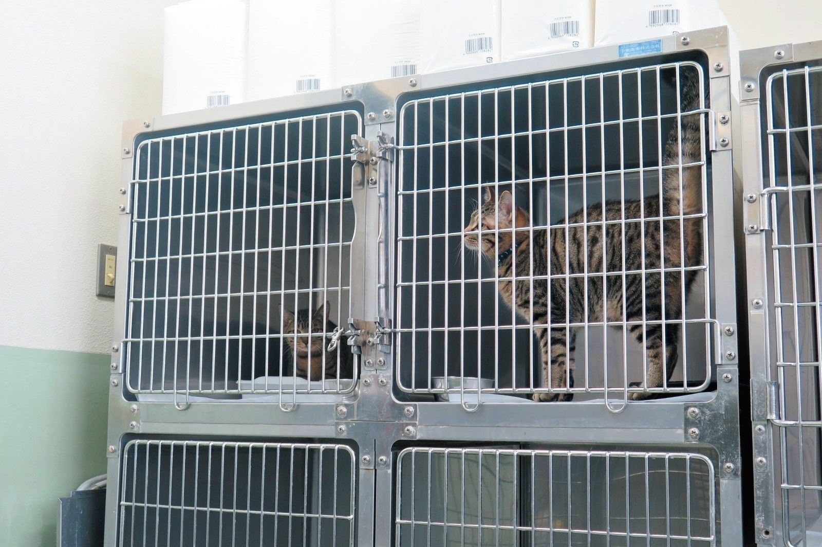 撮影／尾崎たまき