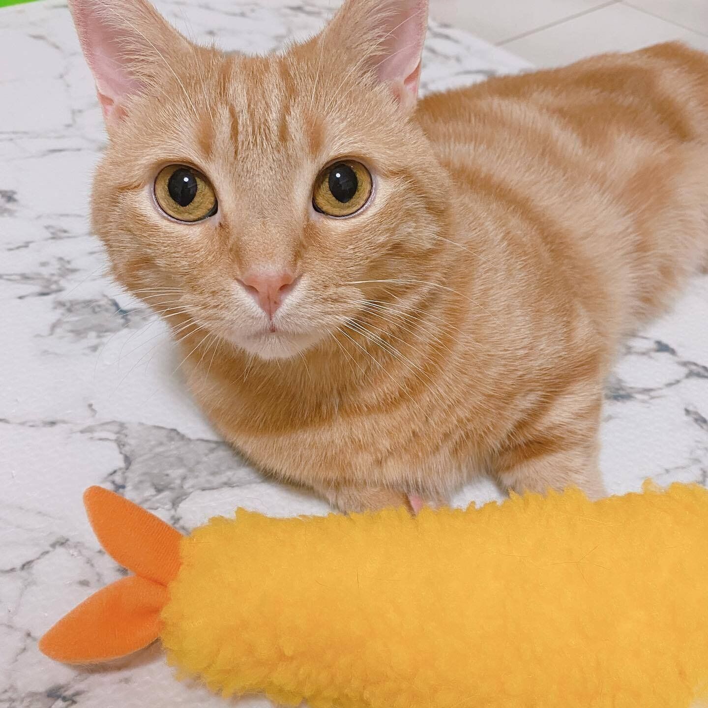 インスくんとエビフライのけりぐるみ