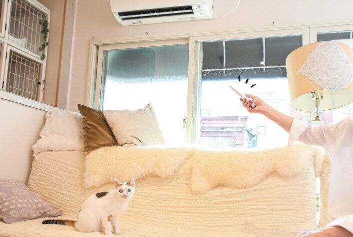 撮影／尾﨑たまき