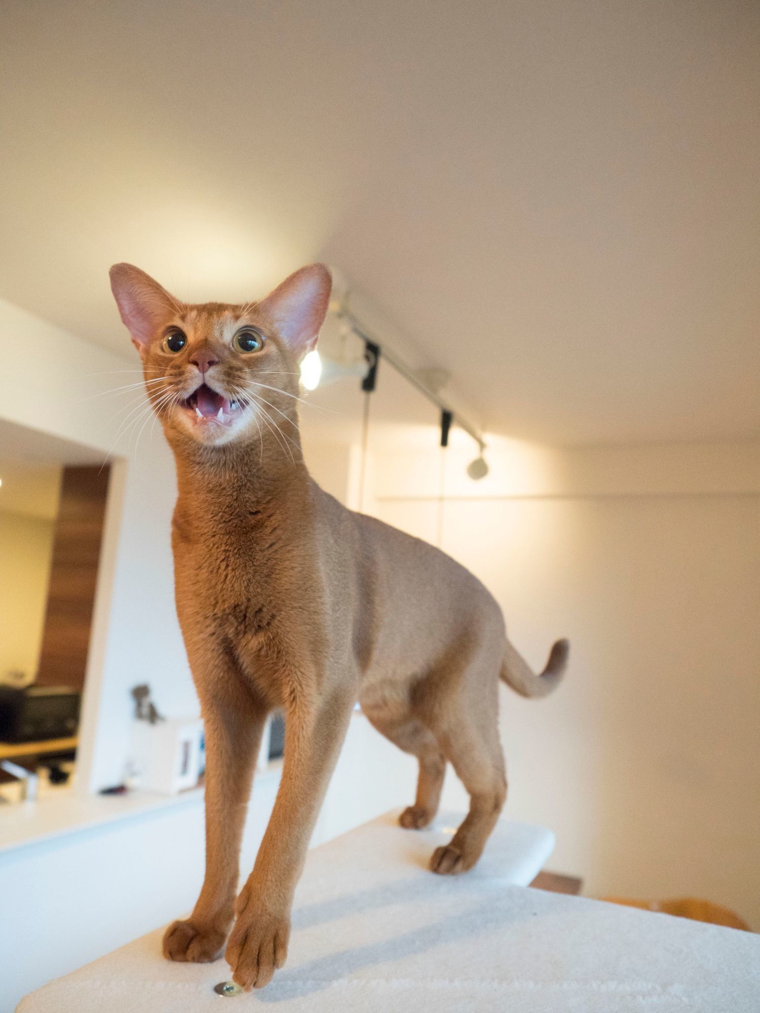 撮影／小森正孝