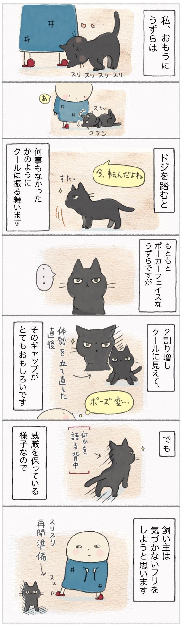 「ねこ連れ草」71話め
