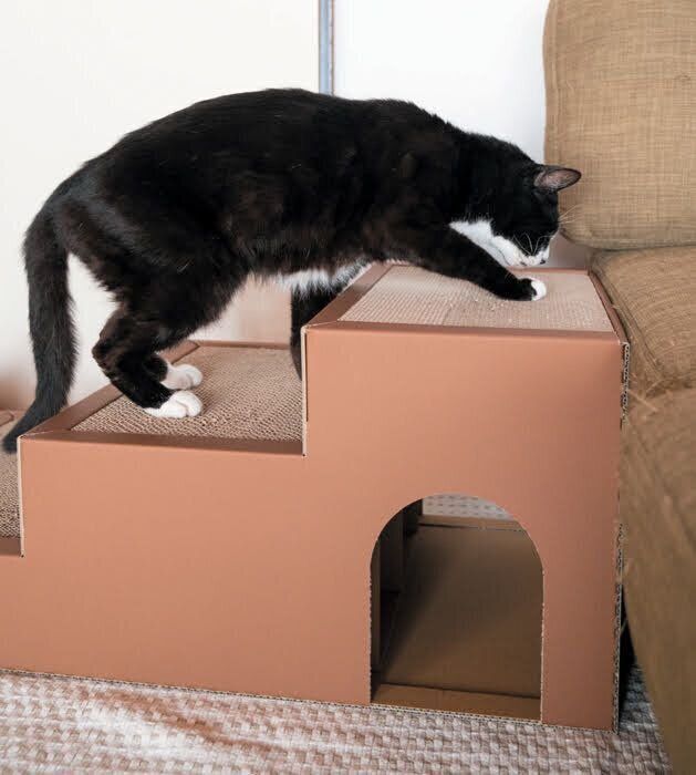 3WAYくつろぎキャットステップで爪とぎをする猫