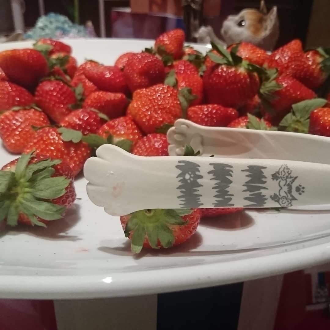 トングも猫の手