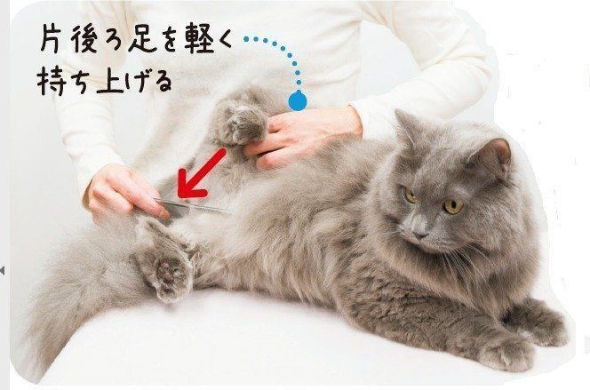 撮影／中川文作