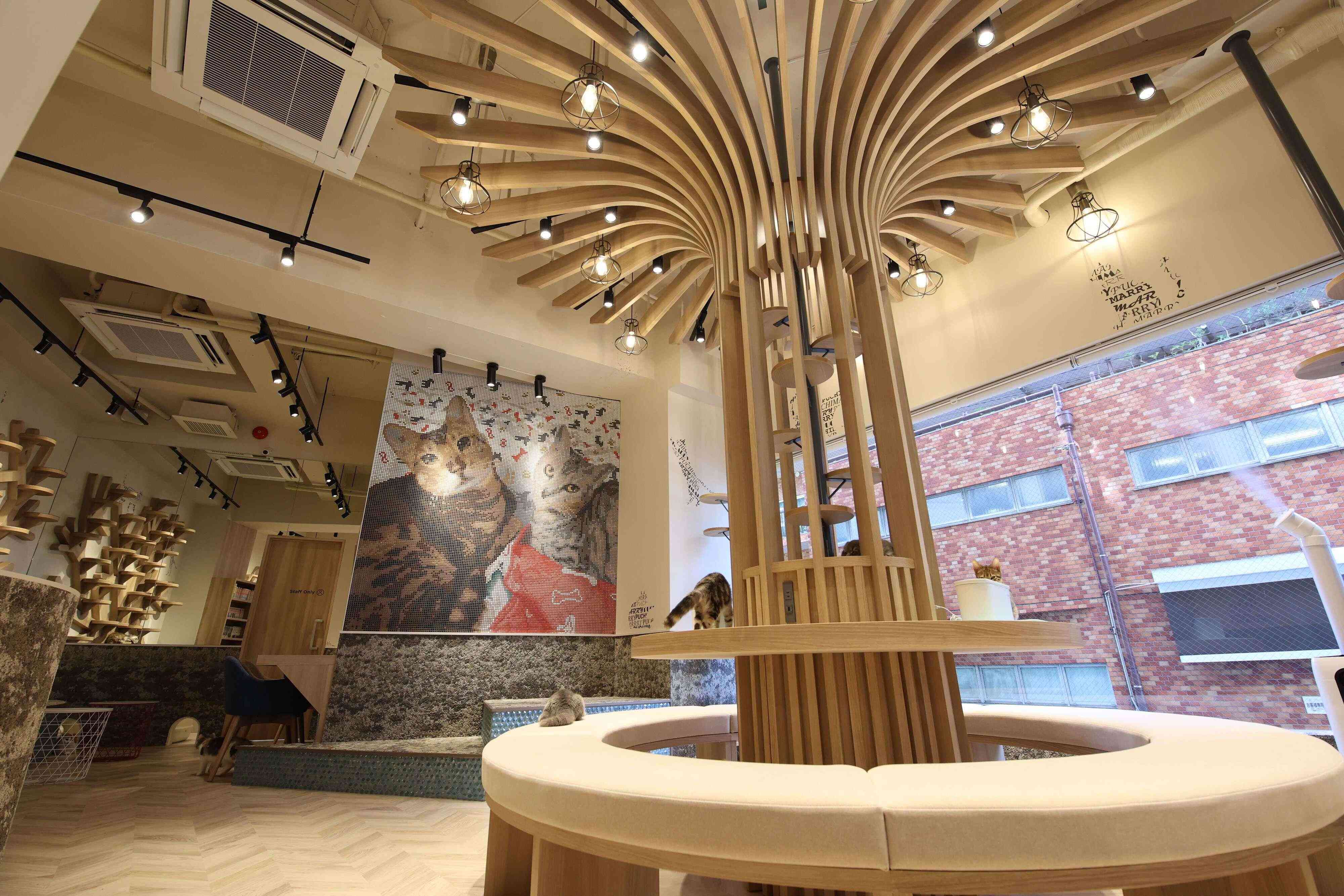 お店のシンボル・大きなキャットタワー